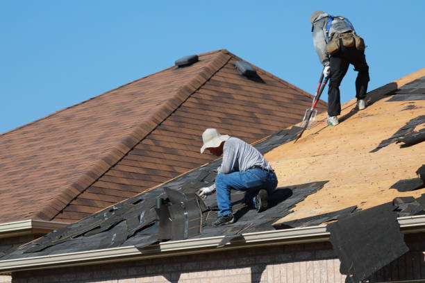 Best Roof Moss and Algae Removal  in Day Heights, OH